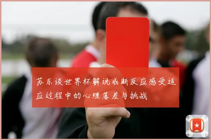 苏东谈世界杯解说戒断反应感受适应过程中的心理落差与挑战